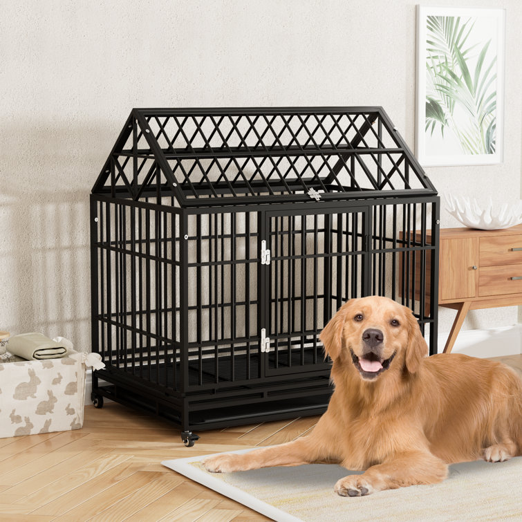 Tucker Murphy Pet Dtadvlo Heavy Duty Dog Crate Metal Dog Kennel